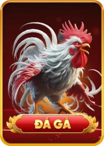 đá gà
