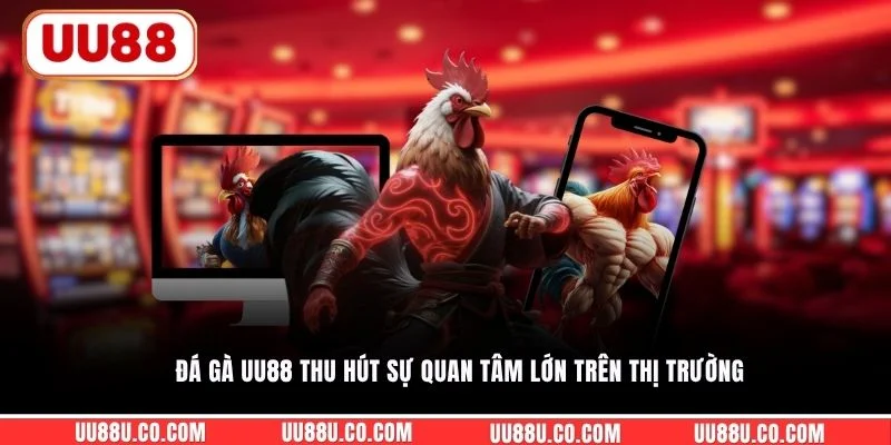 Đá gà UU88 thu hút sự quan tâm lớn trên thị trường