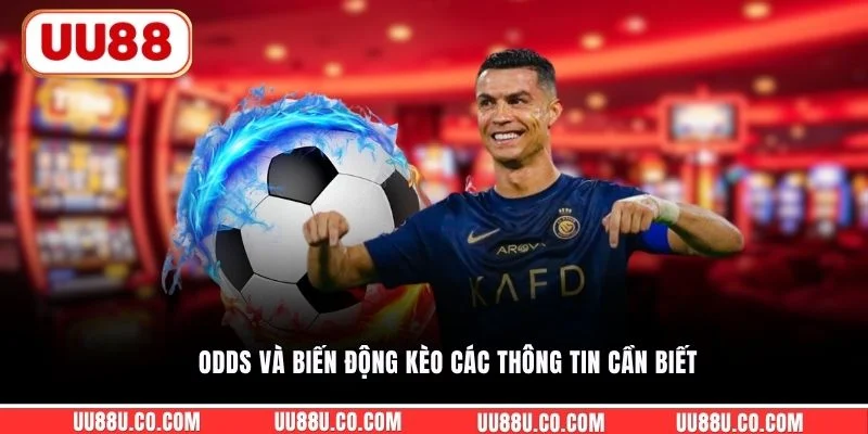 Odds và biến động kèo các thông tin cần biết